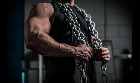 Best Steroids for Bodybuilders