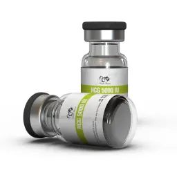 5000IU HCG