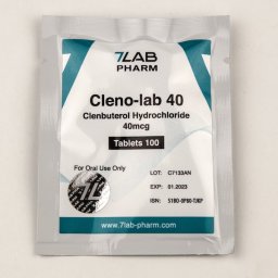 Cleno-lab 40