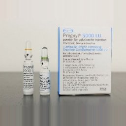 HCG Pregnyl 5000iu