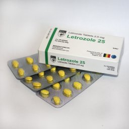 Letrozole 25 (Hilma)