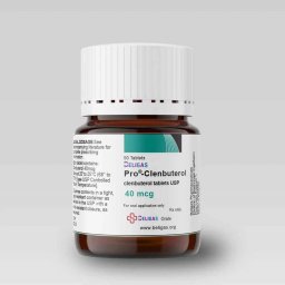 Pro-Clenbuterol 40 mcg - Clenbuterol - Beligas Pharmaceuticals Pro-Clenbuterol 40 mcg - Clenbuterol - Beligas Pharmaceuticals