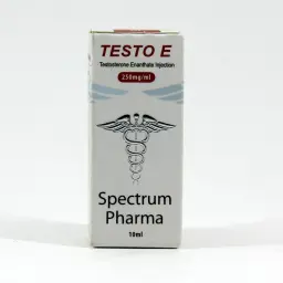 Testo E