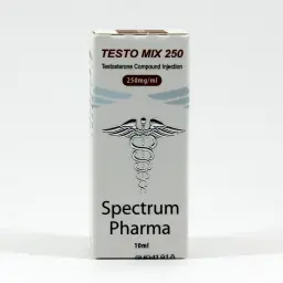 Testo Mix 250