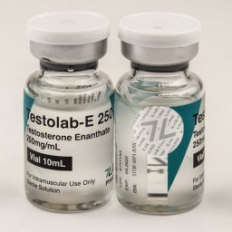 Testolab-E 250 - Testosterone Enanthate - 7Lab Pharma, Switzerland Testolab-E 250 - Testosterone Enanthate - 7Lab Pharma, Switzerland