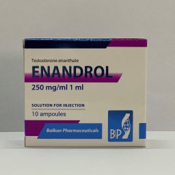 Testosterona E 250 - Enandrol