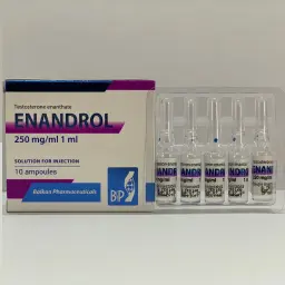 Testosterona E 250 - Enandrol