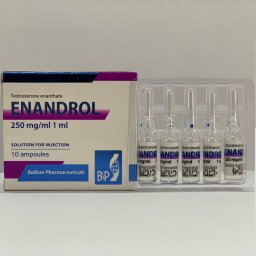 Testosterona E 250 - Enandrol